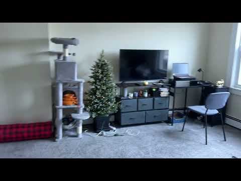 Boston Apartment: 10 Hyde Park Ave