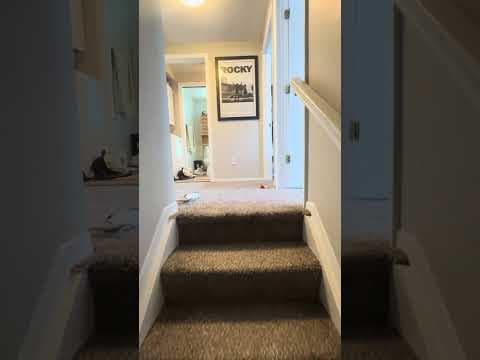 Columbus Condo: 275 E. 13th Avenue
