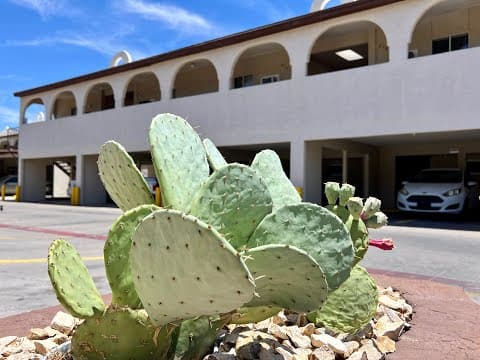 El Paso Condo: 4512 Arlen Ave Apt C