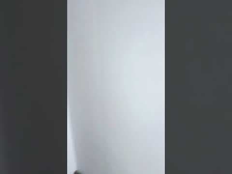 East Lansing House: 2588 Haslett