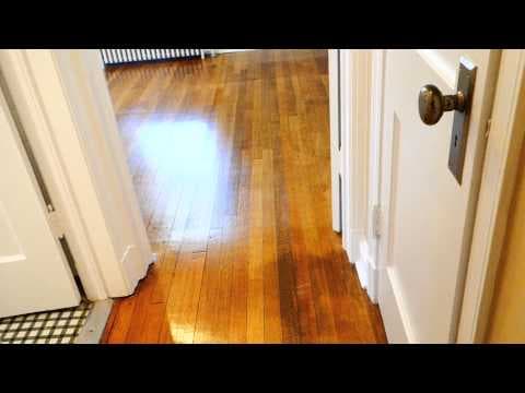 Takoma Park Condo: 8404 Greenwood Ave