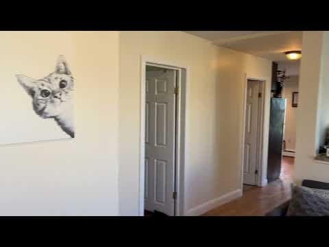 Boston Apartment: 30 Wordsworth St