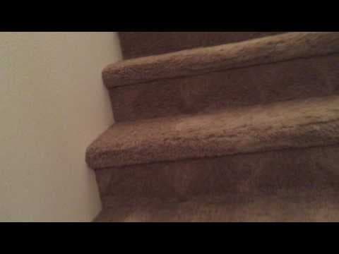 Portland House: 4900 NW 162nd Terr