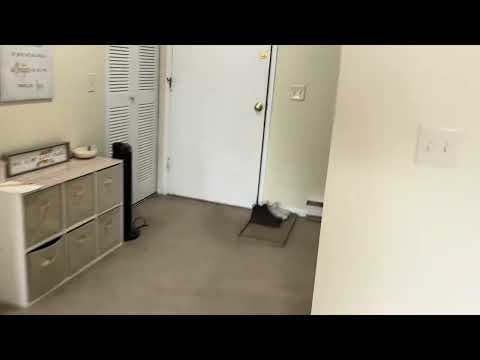 Middleborough Apartment: 66 Mayflower Ave