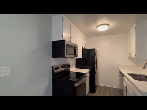 Los Angeles Condo: 951 S. Oxford Ave