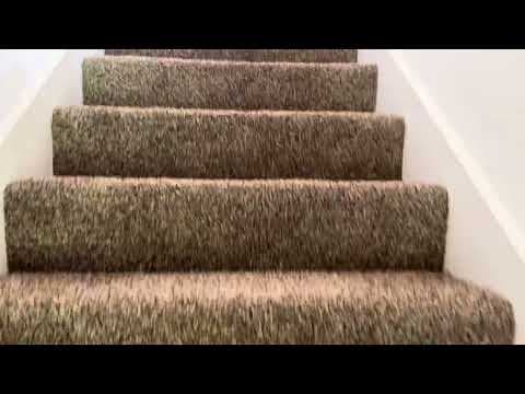 Tomball House: 12431 Westwold Dr