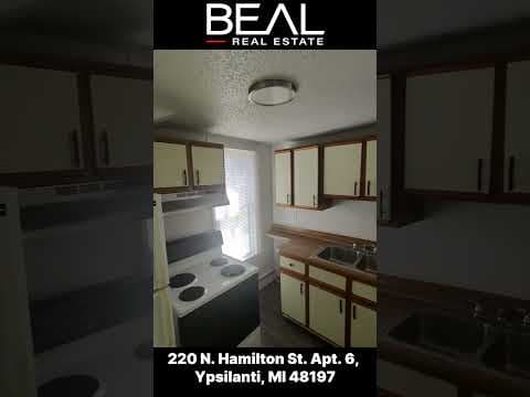 Ypsilanti Condo: 220 N. Hamilton St. Apt.