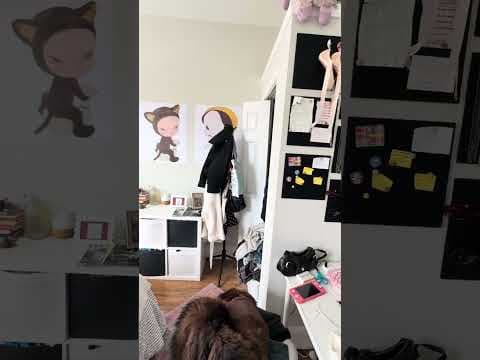 Boston Apartment: 1193 Commonwealth Ave