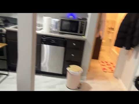 Boston Apartment: 231 Harrison Ave