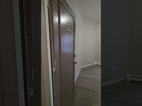 Jamaica Plain Condo: 191 Green St