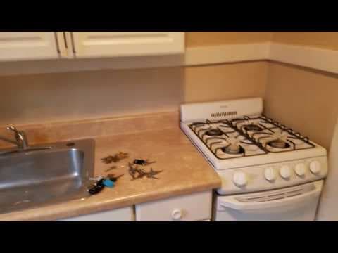 Rochester Condo: 30 Prince St