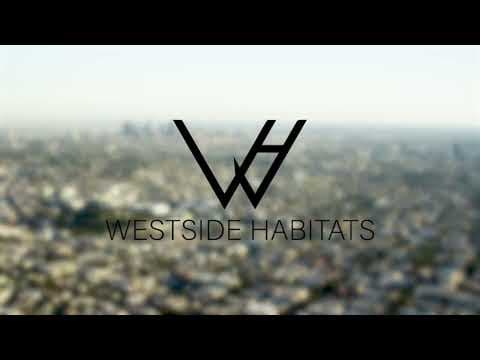 Los Angeles Condo: 3537 Clarington Ave