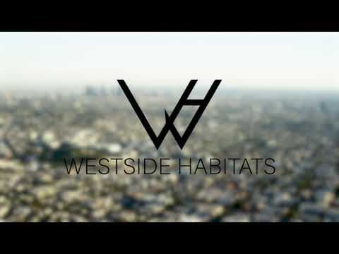 Los Angeles Condo: 7056 Lanewood Avenue