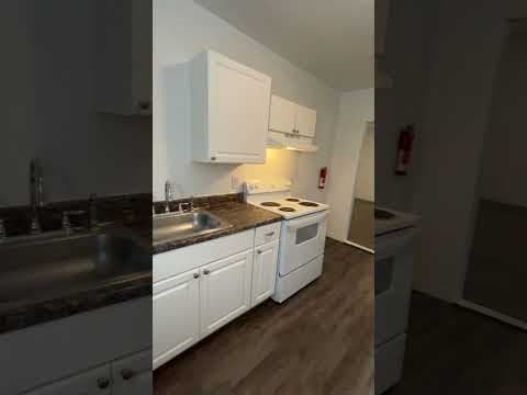 Mount Clemens Condo: 247 North Ave. Apt.