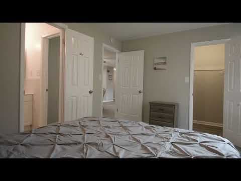Norfolk Apartment: 736 W Ocean View Ave
