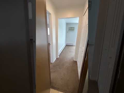 Brooklyn Condo: 207 Water St. Apt.