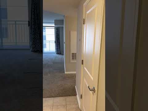 Silver Spring Condo: 930 Wayne Ave