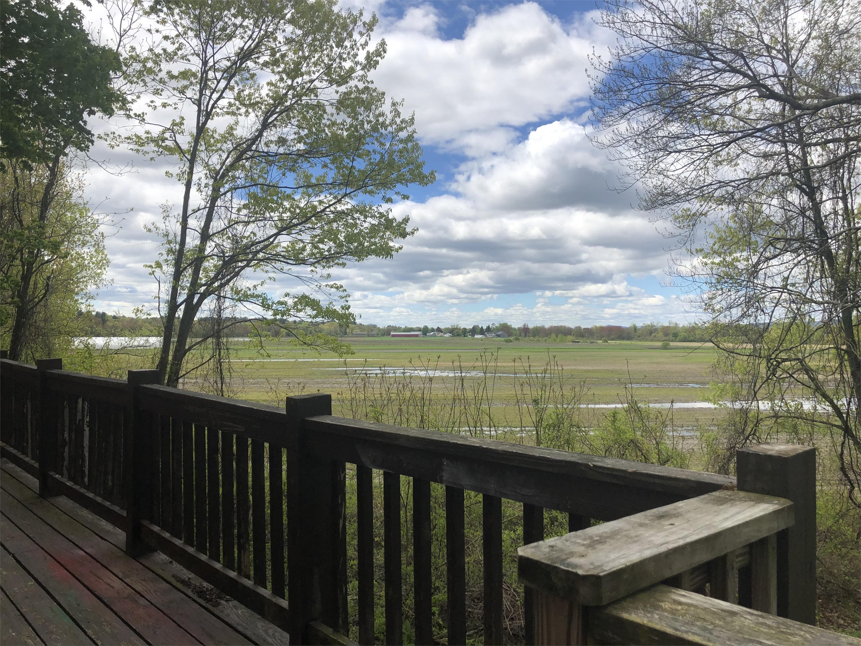 Sunderland Condo: 87 South Silver Lane - 2