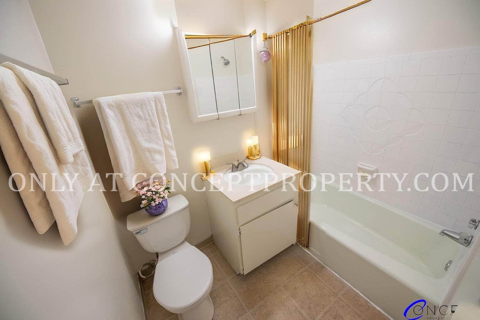 Salt Lake City Apartment: 555 E 700 S