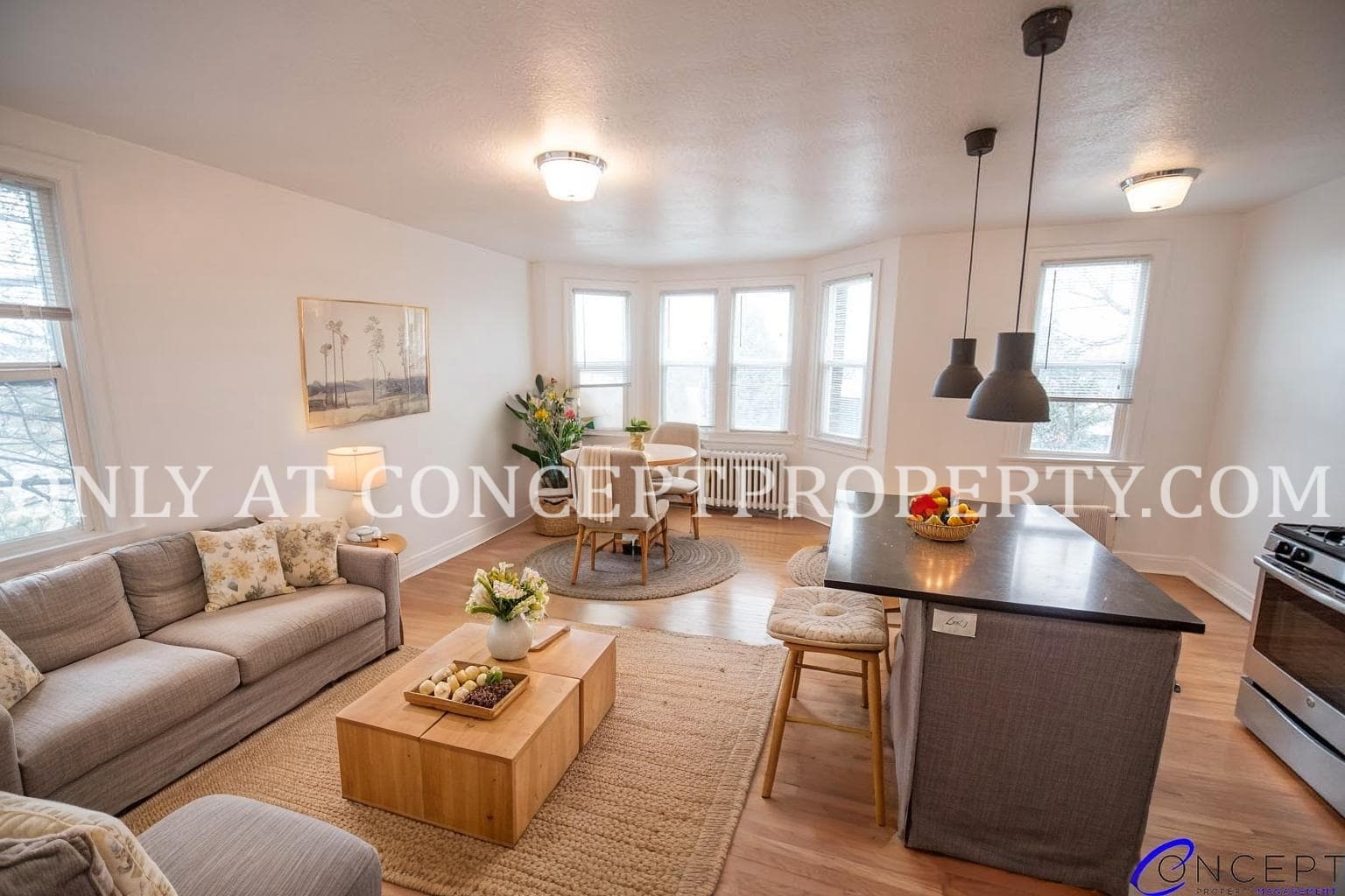 Salt Lake City Apartment: 125 S 900 E