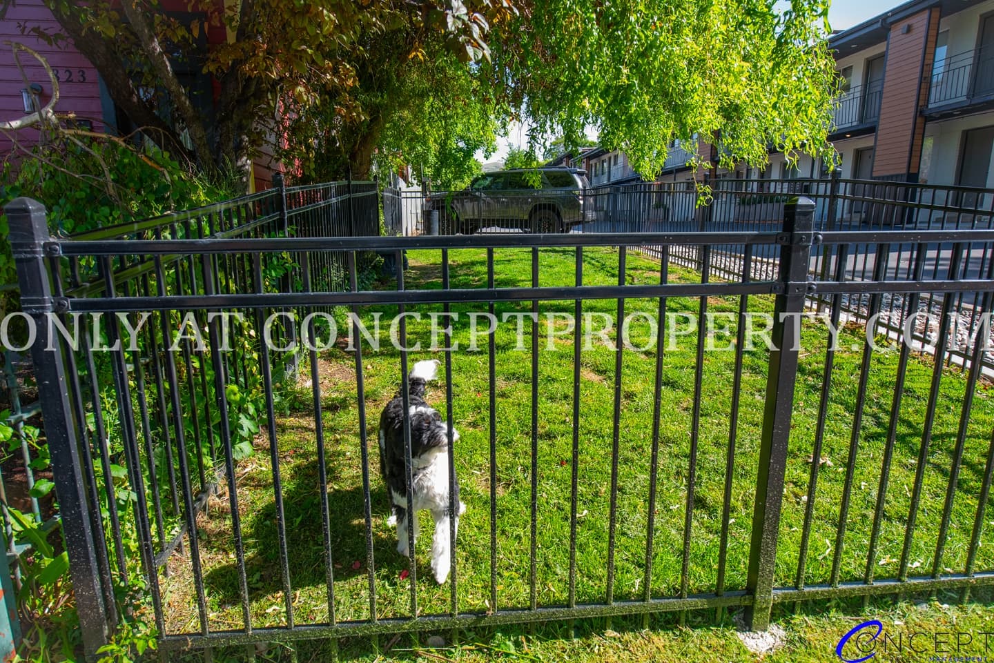 Salt Lake City Apartment: 825 E 600 S
