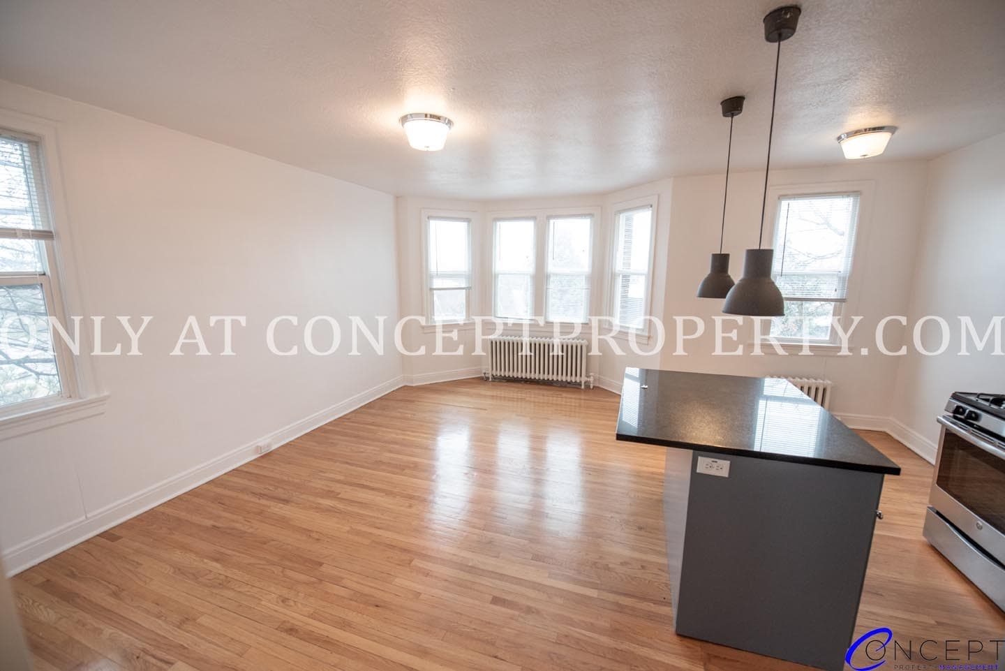Salt Lake City Apartment: 125 S 900 E