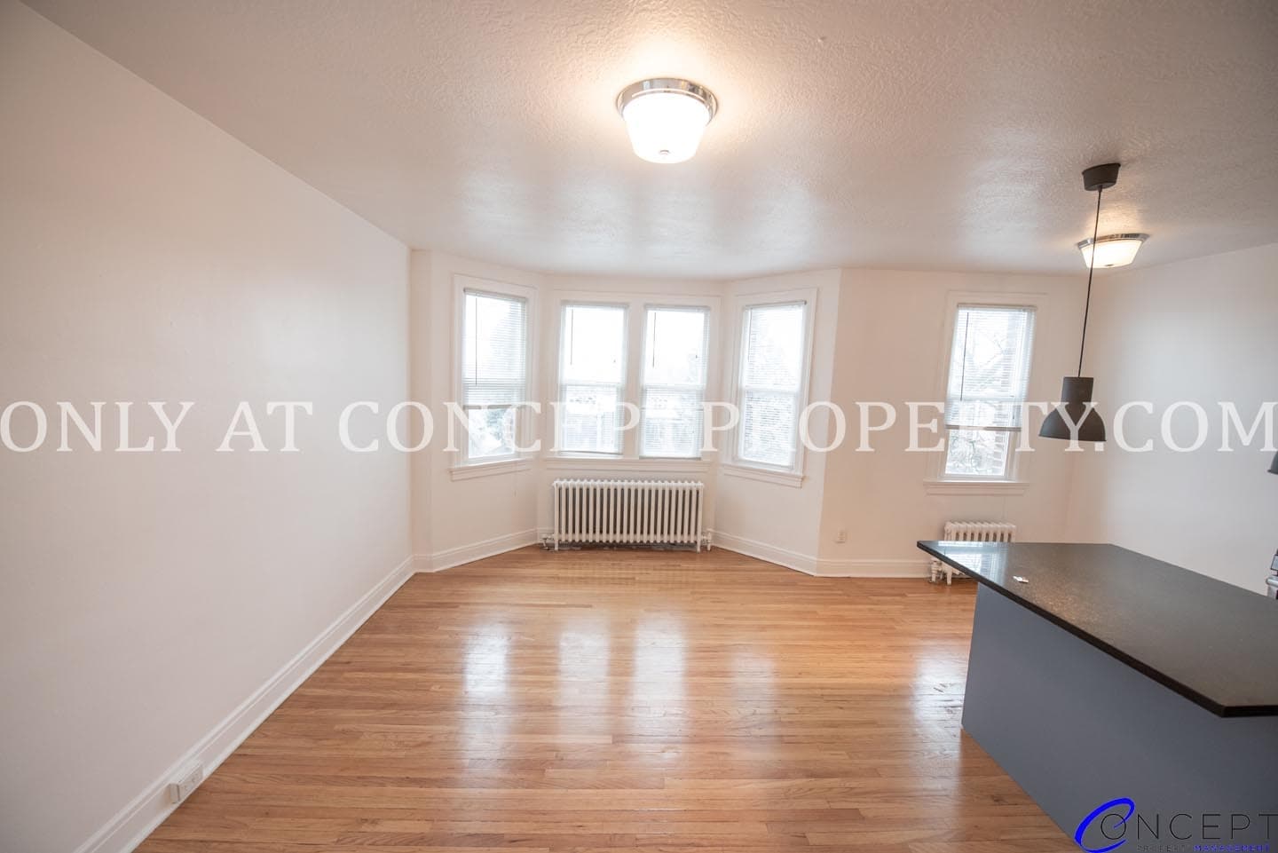 Salt Lake City Apartment: 125 S 900 E