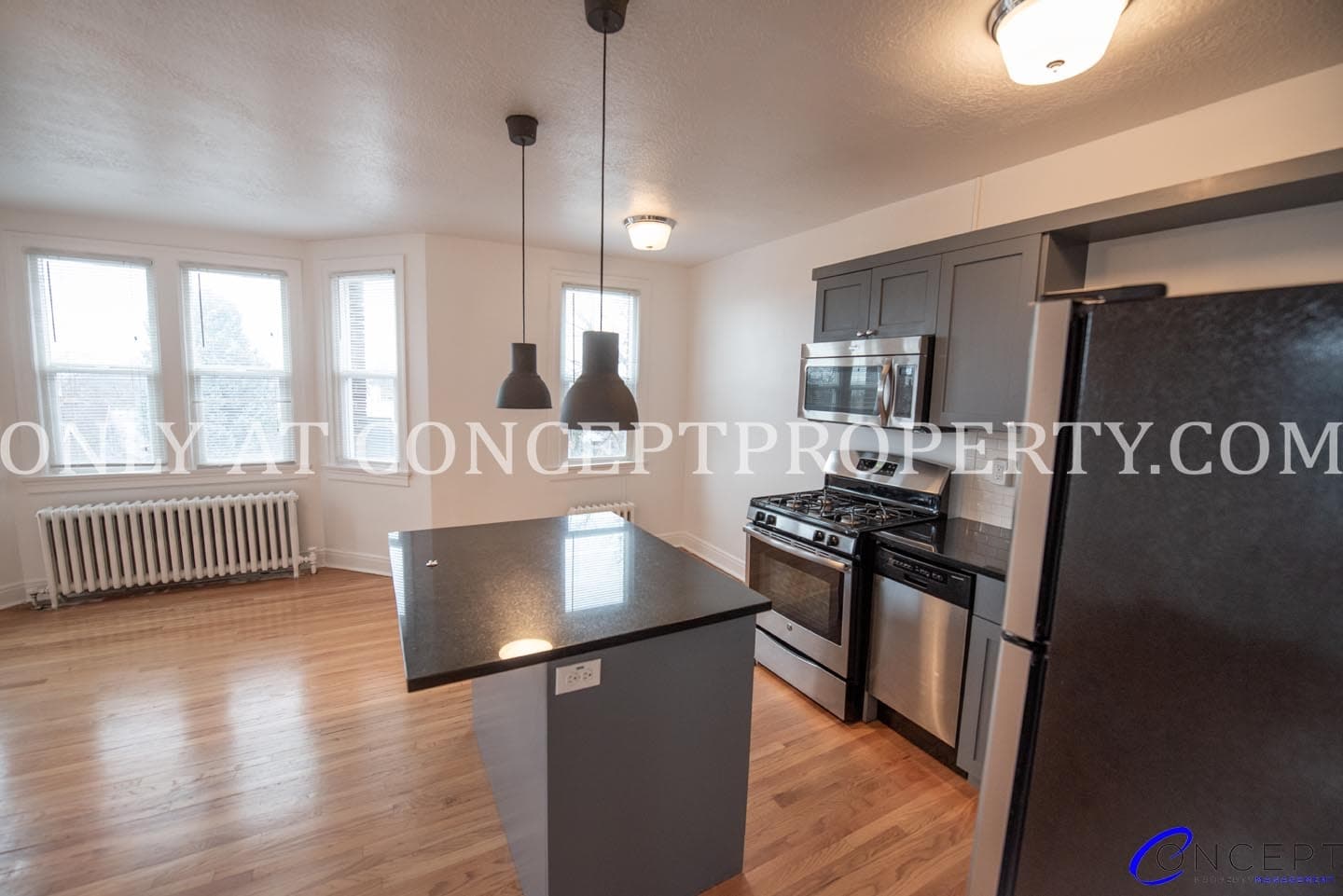 Salt Lake City Apartment: 125 S 900 E