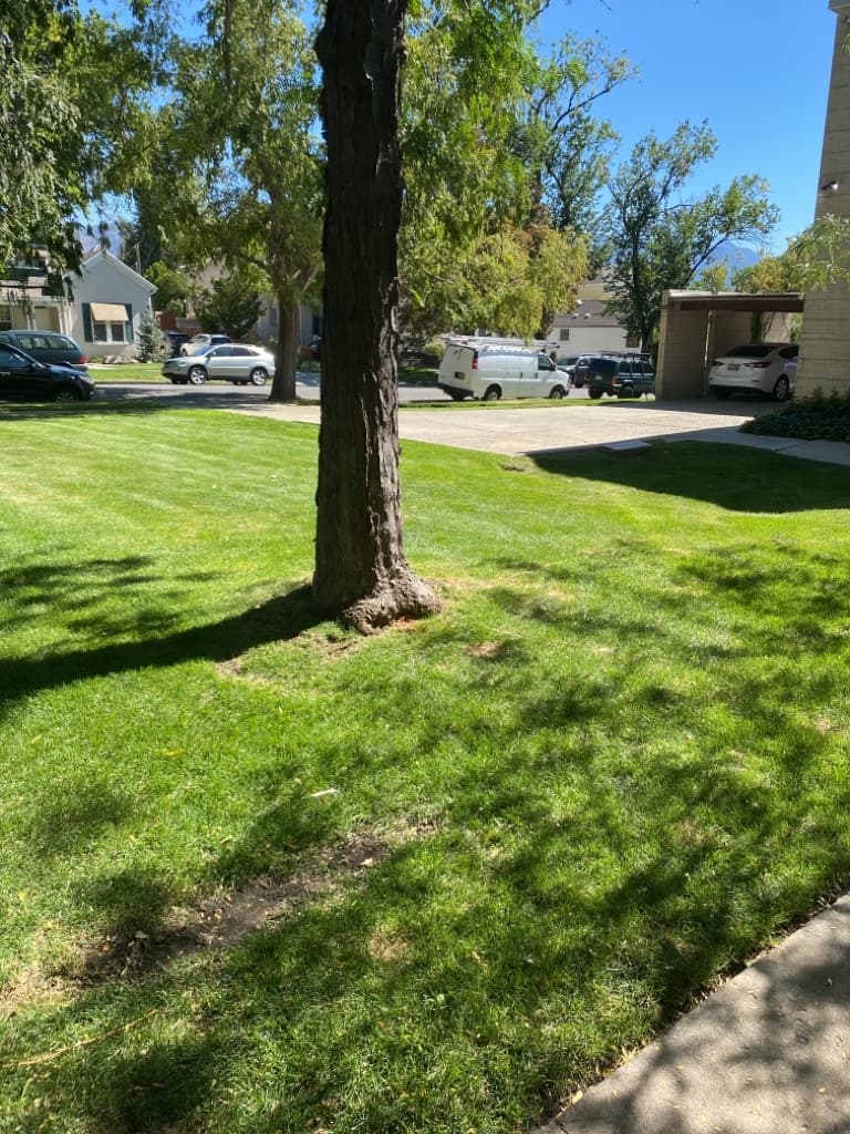 Salt Lake City Apartment: 430 E 2nd Ave