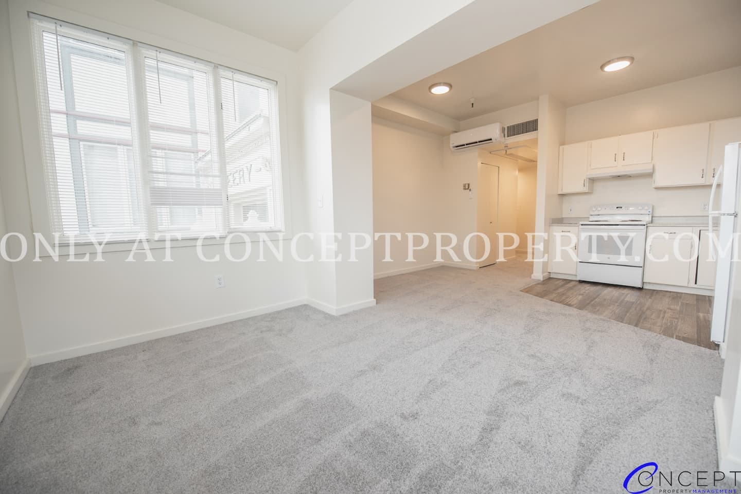 Salt Lake City Apartment: 223 E 3rd Ave