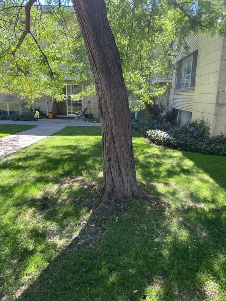 Salt Lake City Apartment: 430 E 2nd Ave