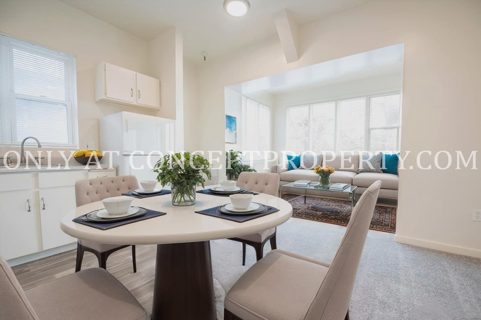 Salt Lake City Apartment: 223 E 3rd Ave
