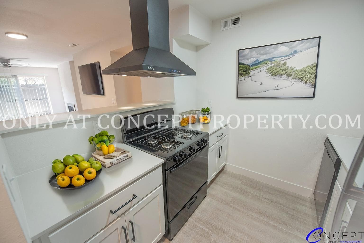 Salt Lake City Apartment: 107 B St