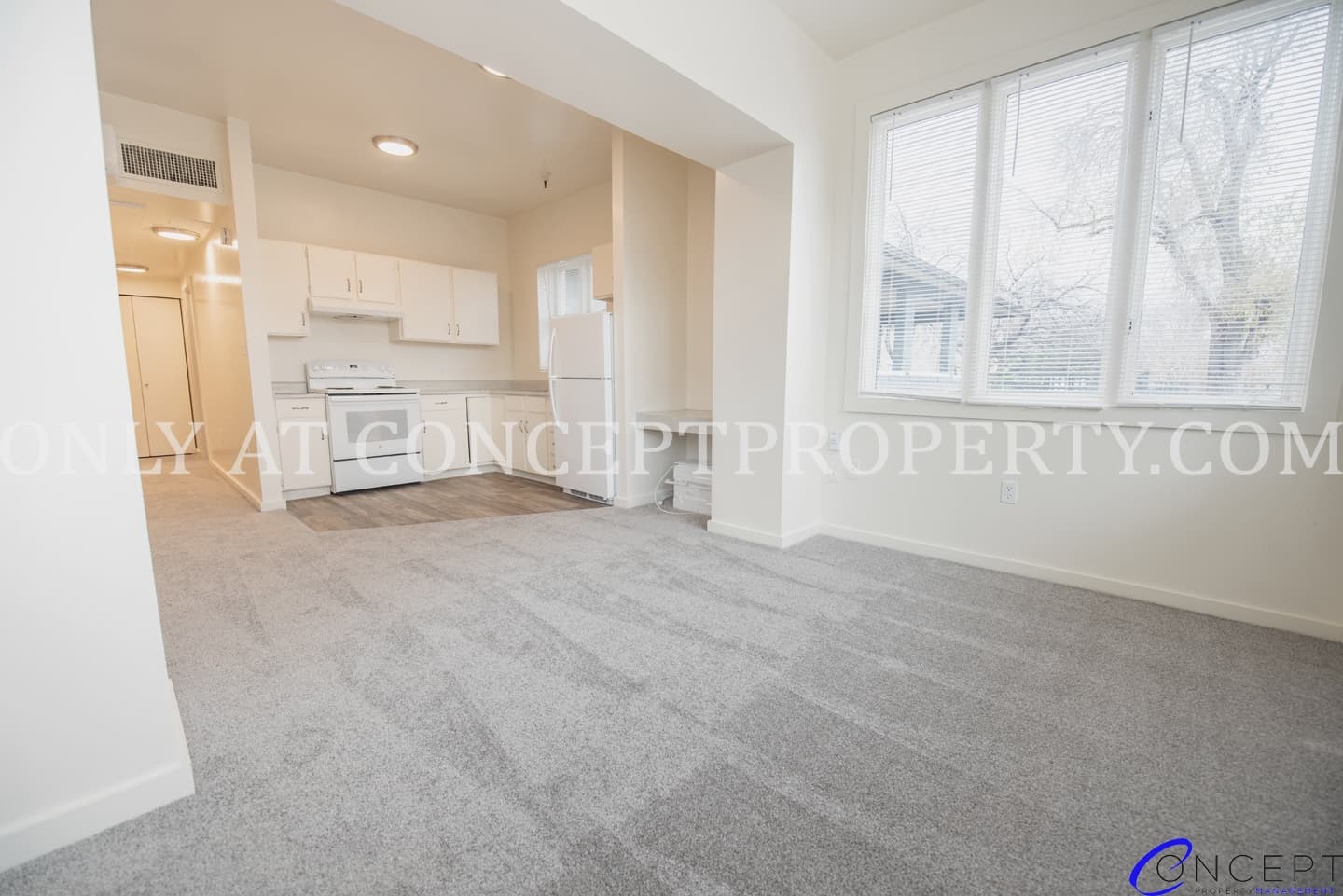 Salt Lake City Apartment: 223 E 3rd Ave