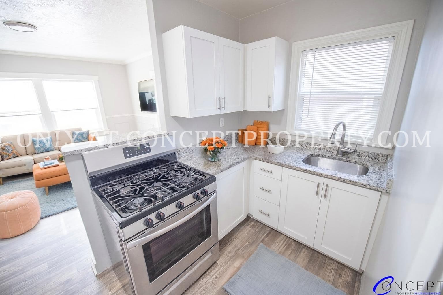 Salt Lake City Apartment: 425 E 200 S
