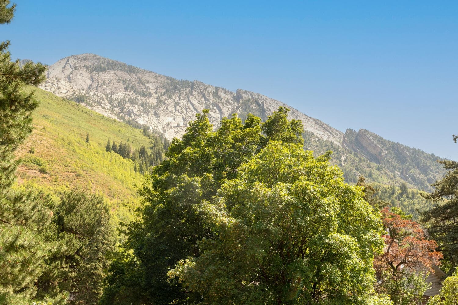 Salt Lake City House: 4430 S Zarahemla Dr