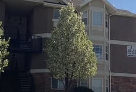 Saratoga Springs Condo: 105 W Daybreak Ln