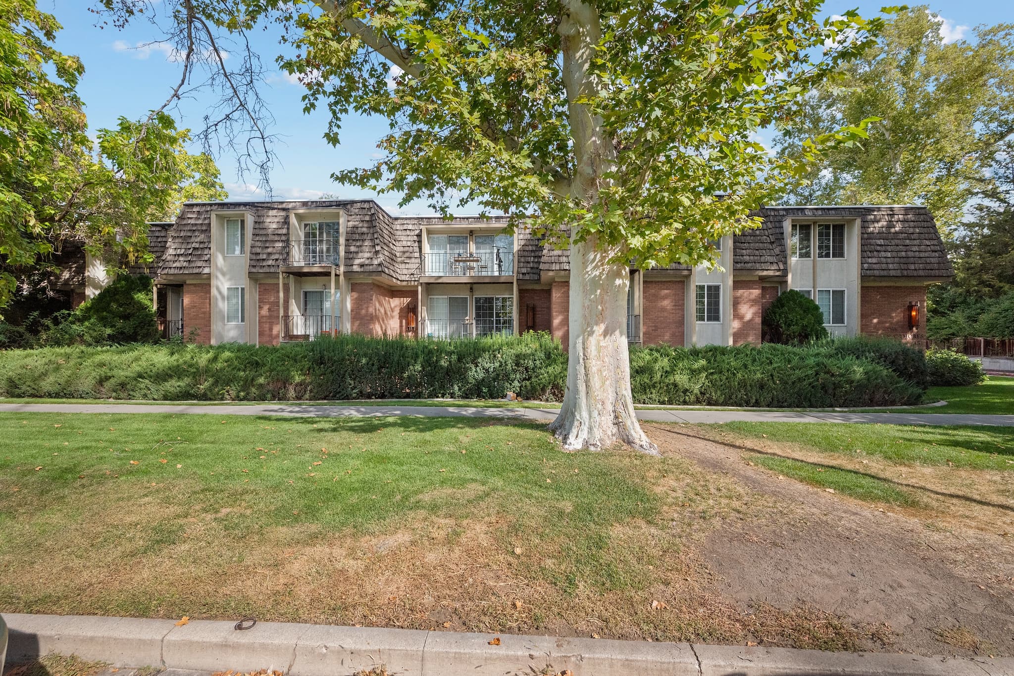 Provo Apartment: 351 E Center St