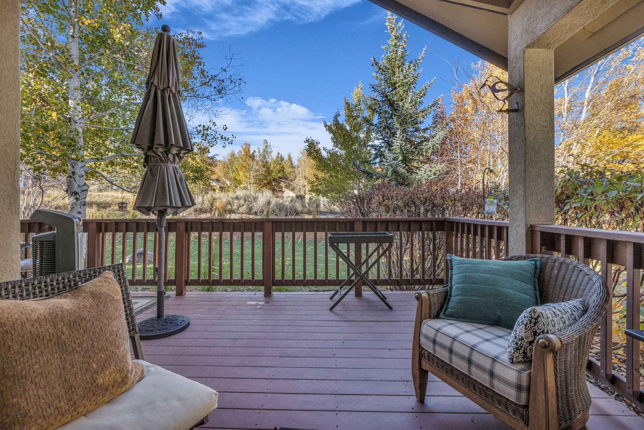 Park City House: 1982 Picabo St