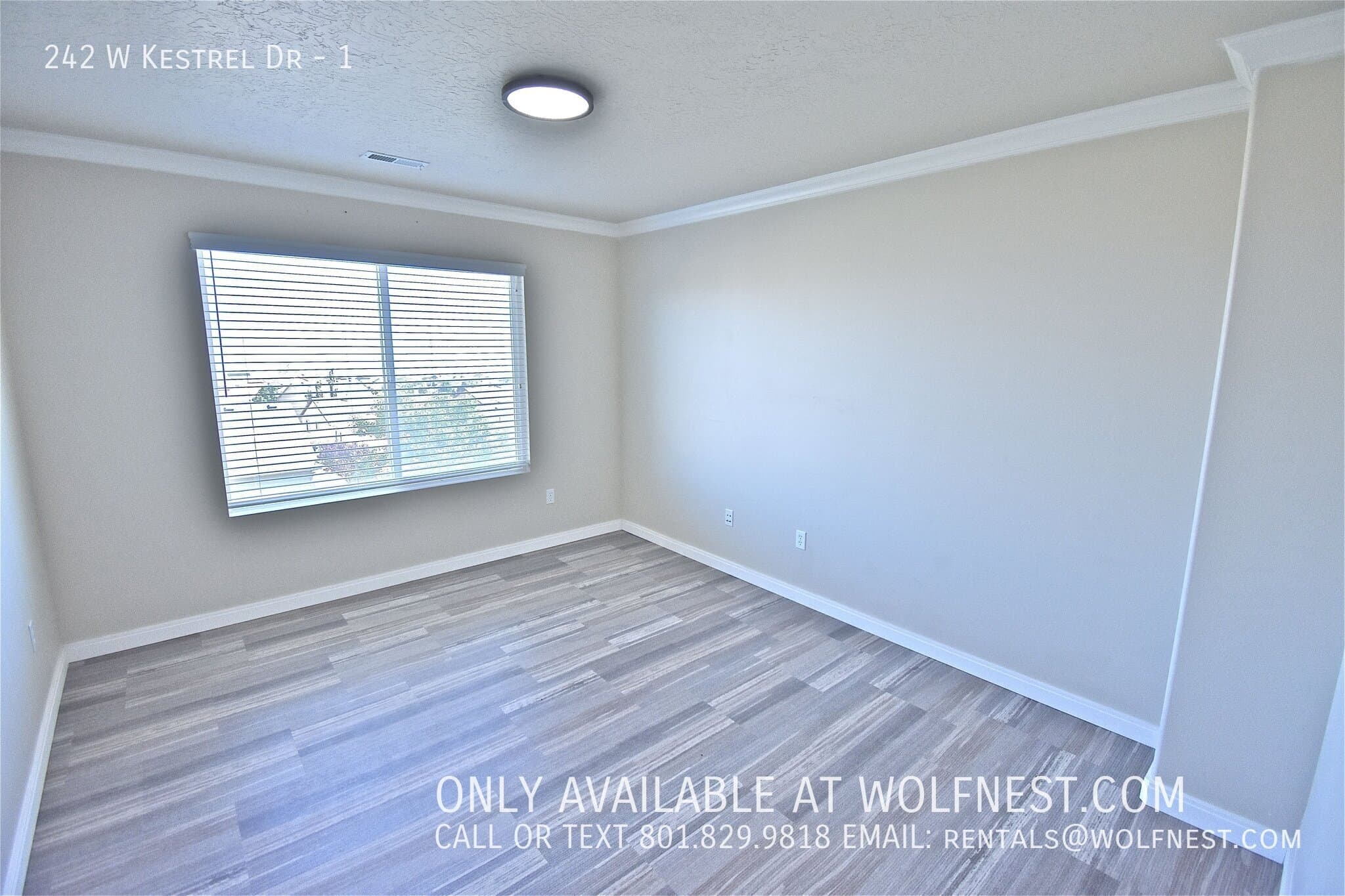 Saratoga Springs Multiplex: 242 W Kestrel Dr