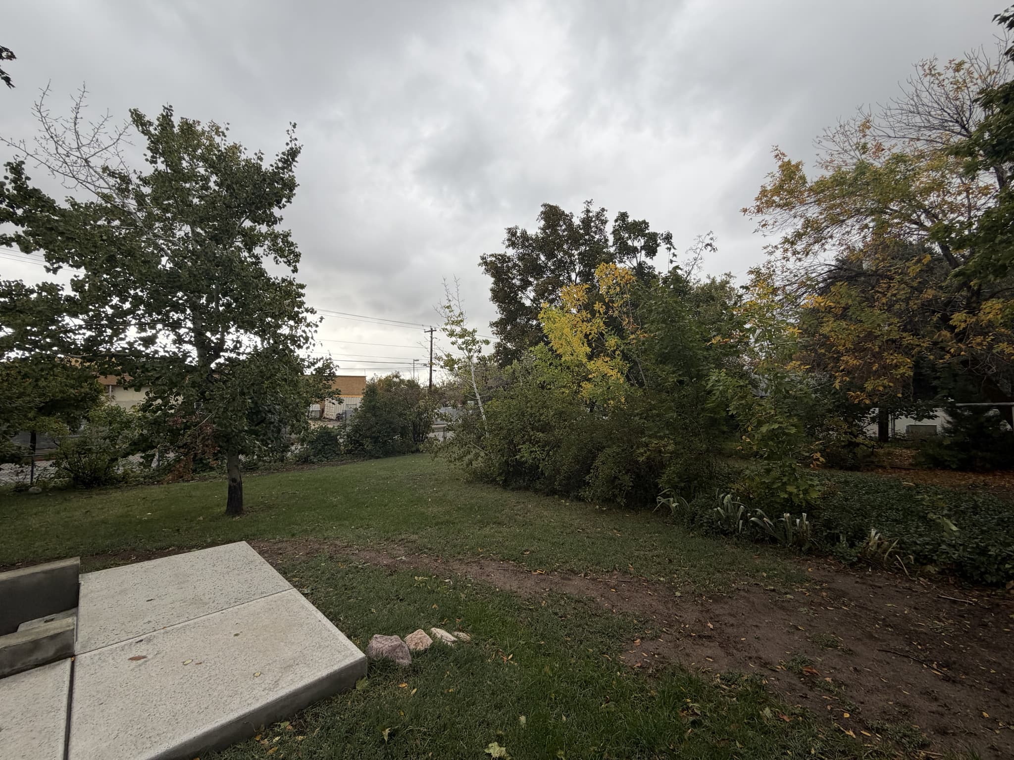 Ogden House: 1304 Kershaw St