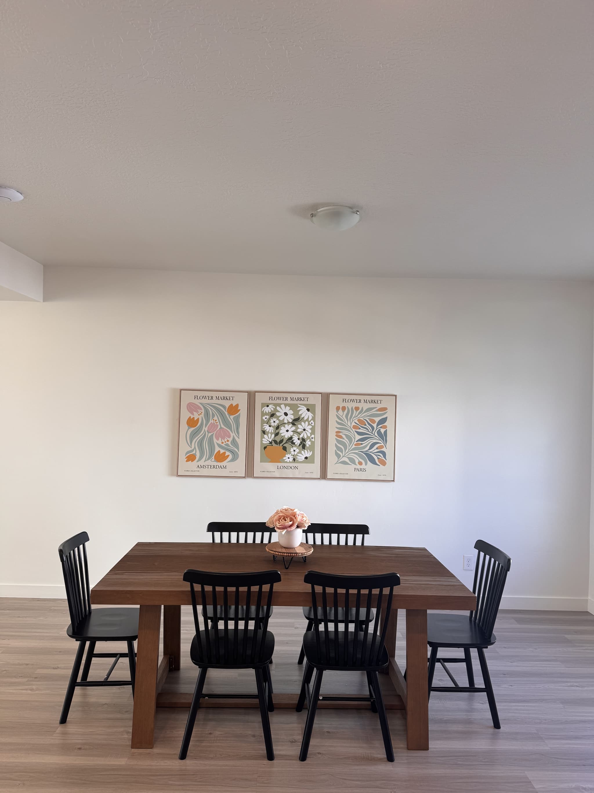 American Fork Townhome: 826 E 480 S
