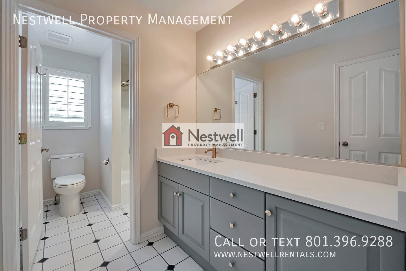 Alpine House: 713 S Cumberland Ct