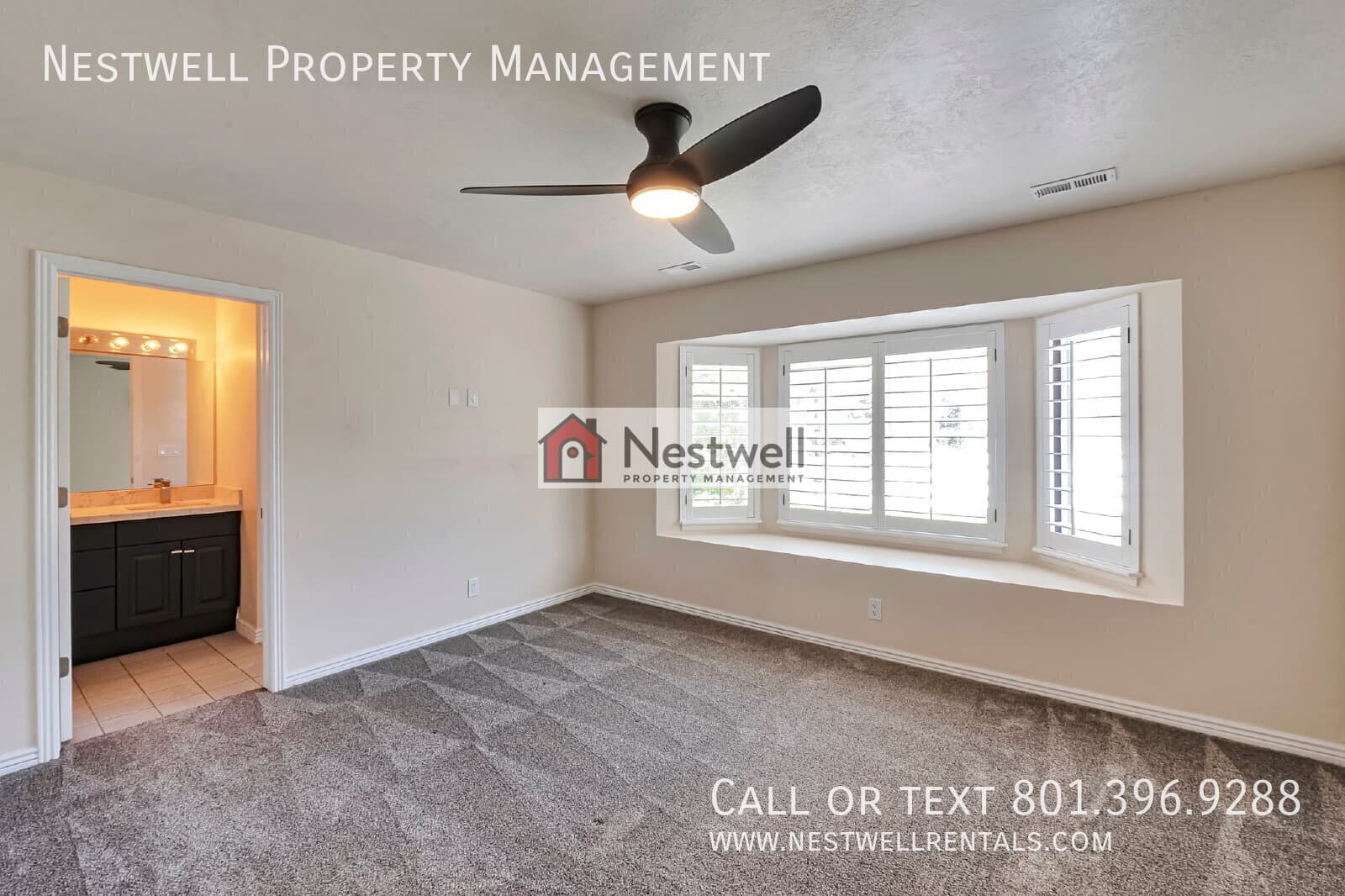 Alpine House: 713 S Cumberland Ct