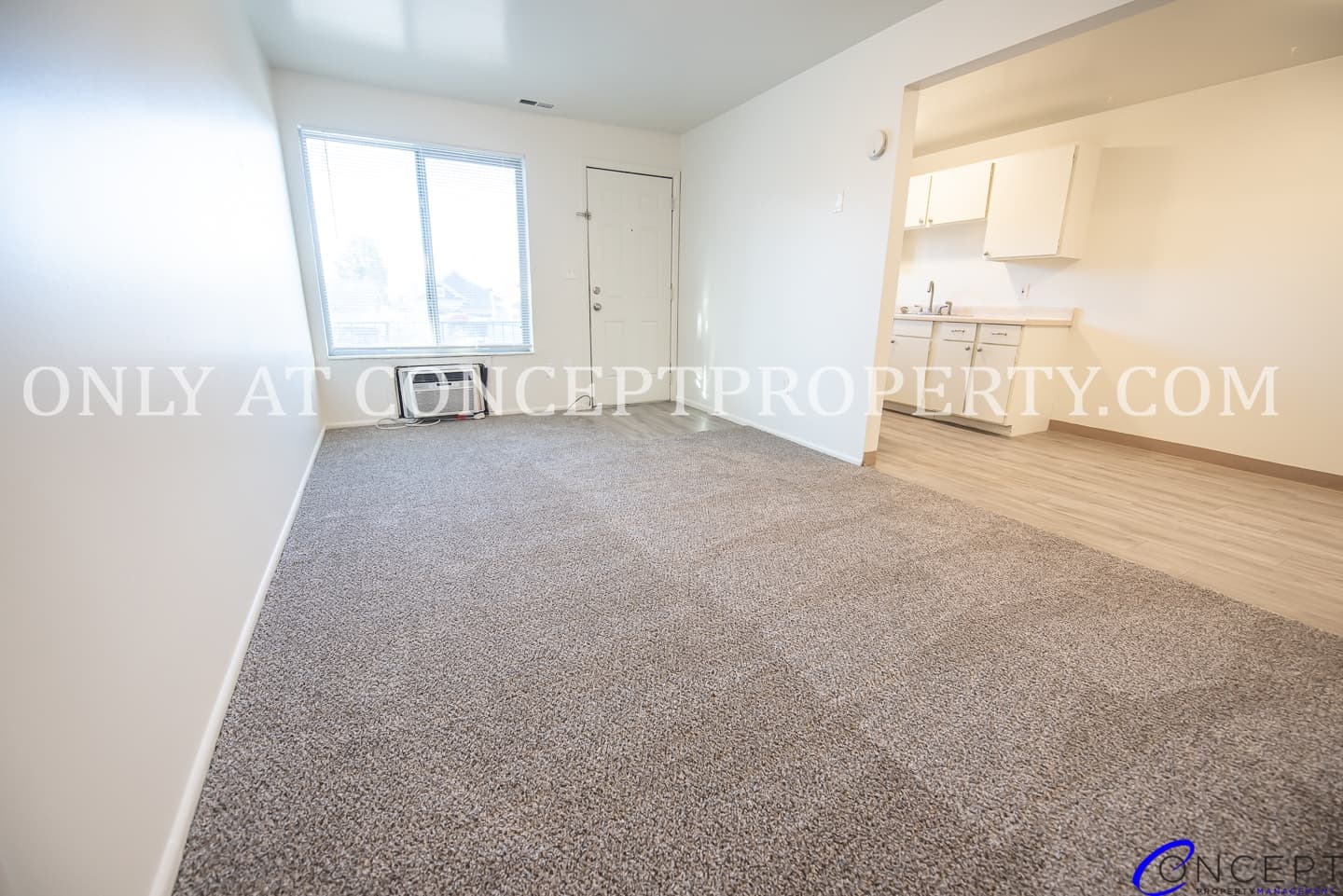 Salt Lake City Apartment: 1121 E 500 S