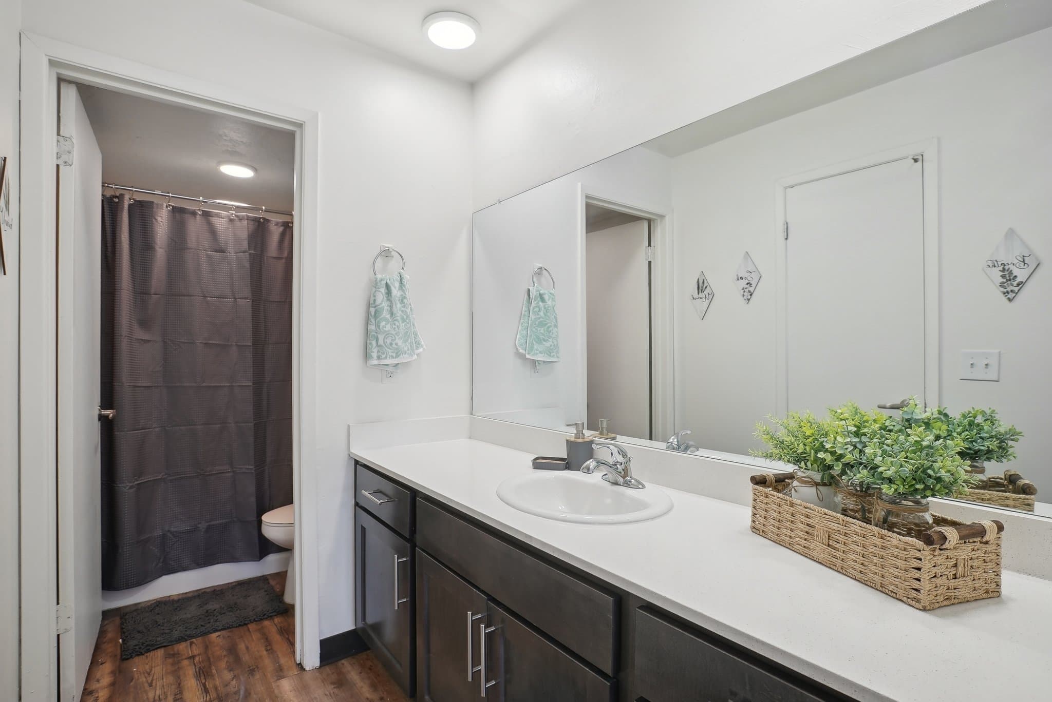 Salt Lake City Apartment: 731 S 300 E