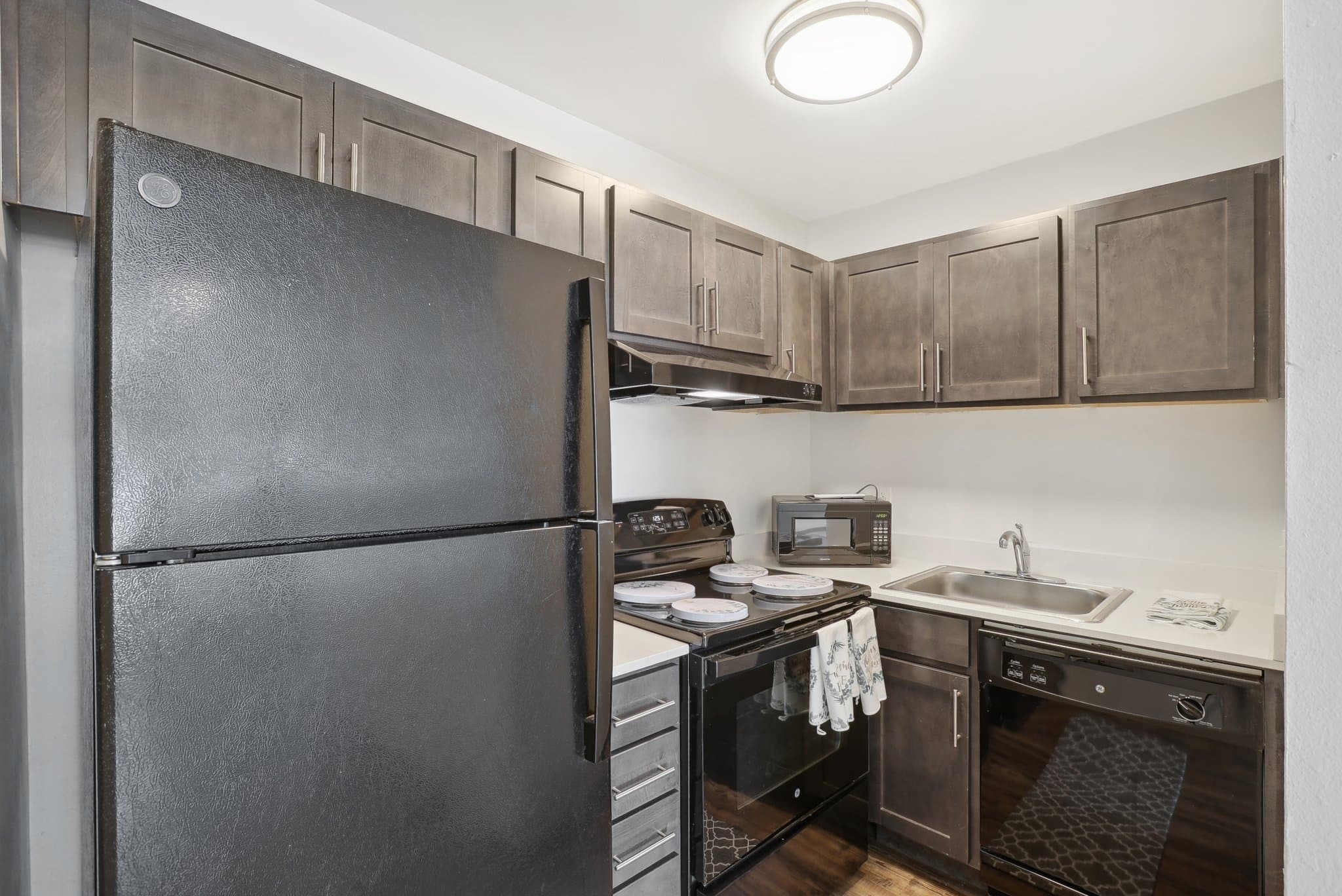 Salt Lake City Apartment: 731 S 300 E