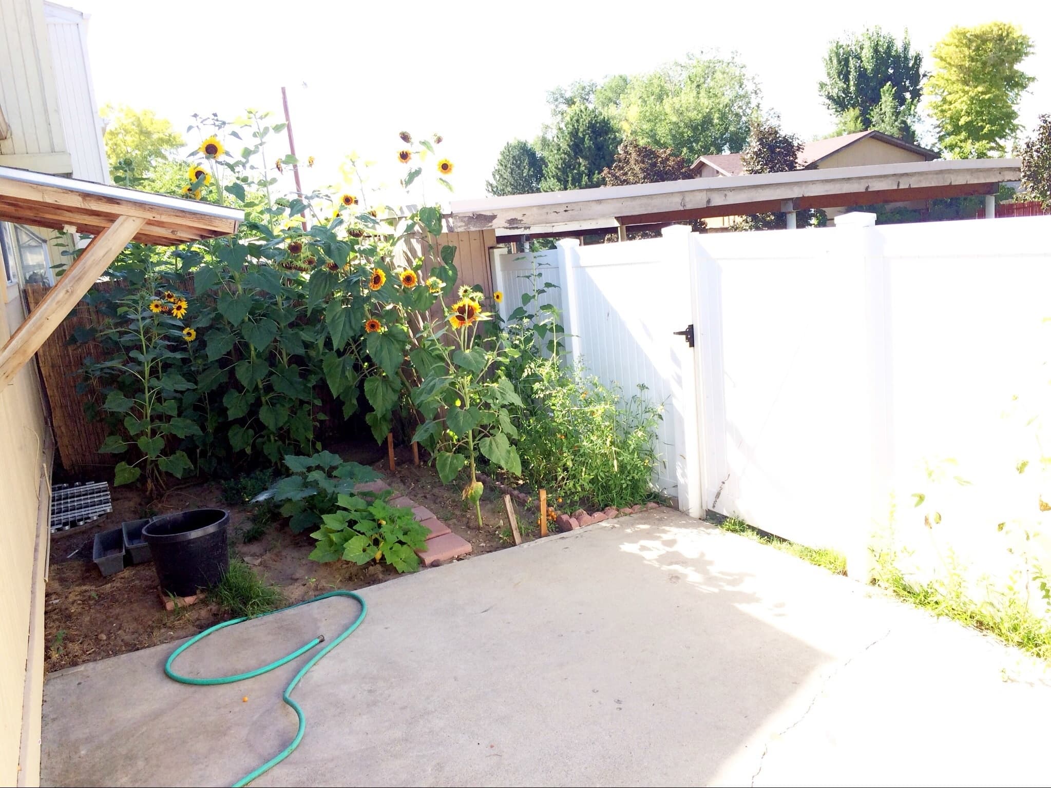 Orem House: 1142 W 250 S