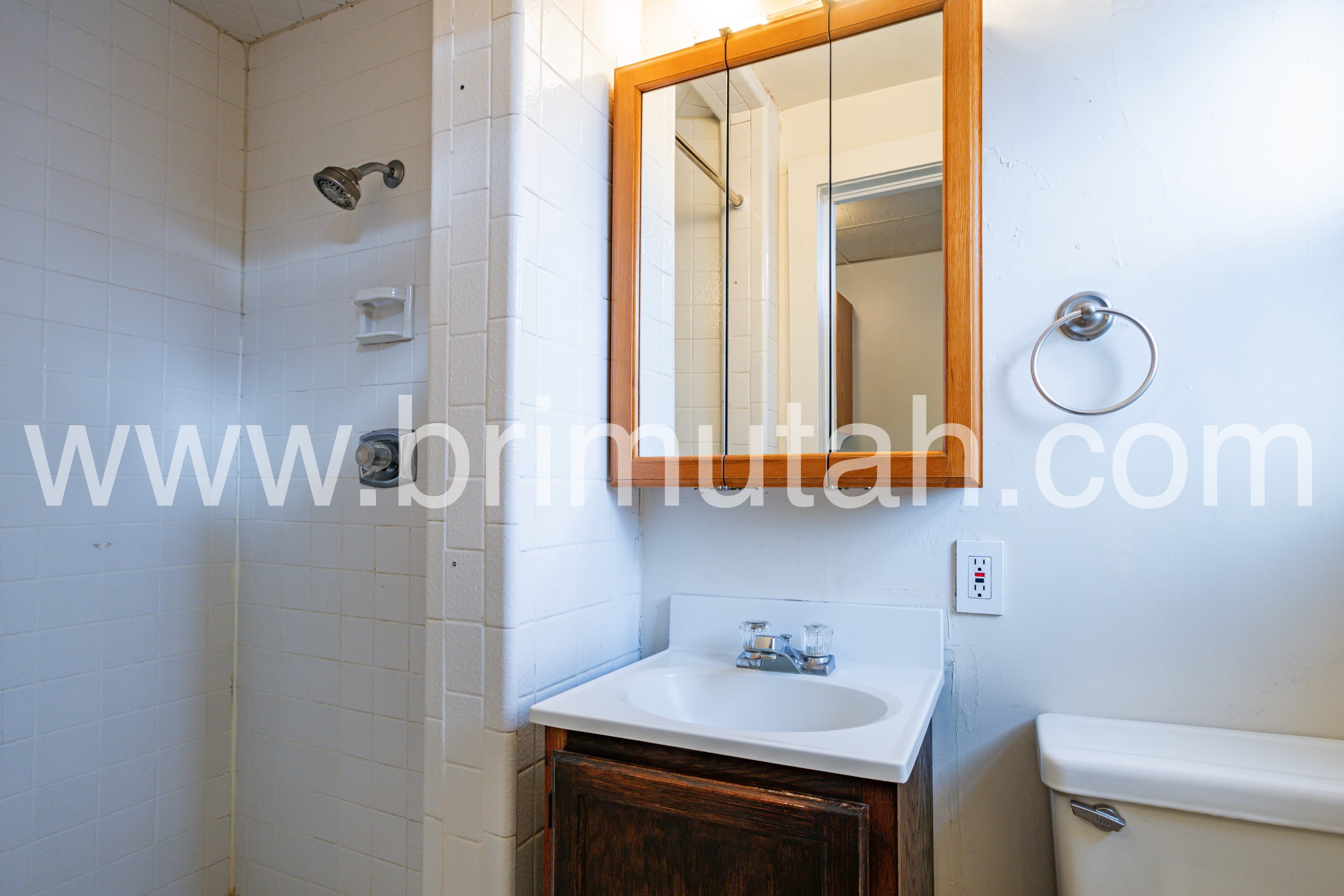 Salt Lake City Apartment: 273 S 400 E
