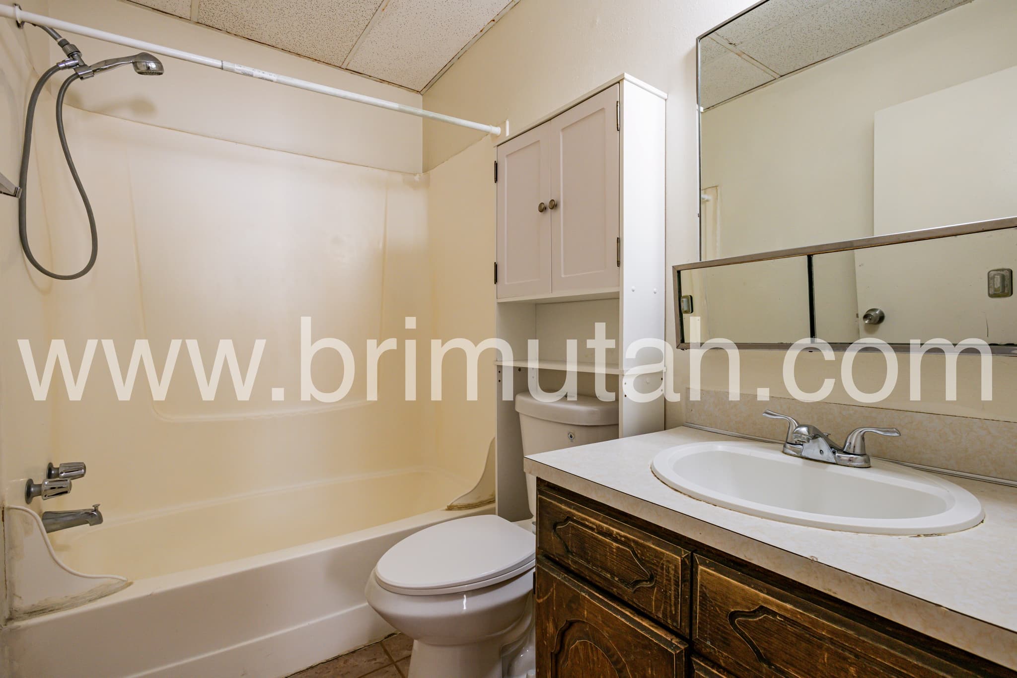 Salt Lake City Apartment: 217 E 3rd Ave